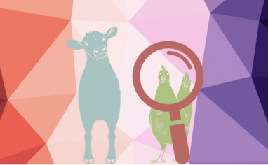 An image of a cow and a chicken set against a pastel background. The chicken is looking through a magnifying glass.